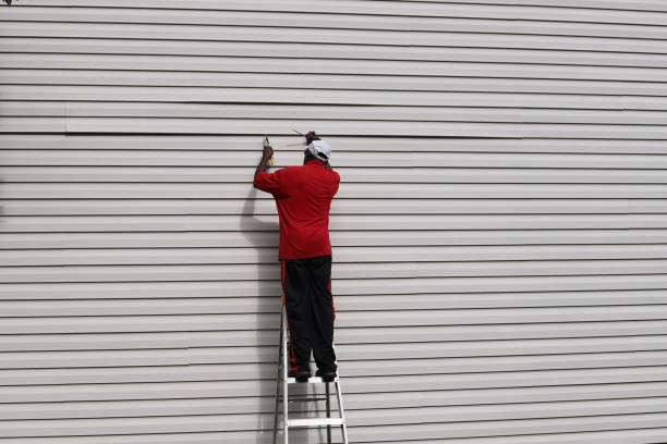 Best Custom Siding Design  in Waverly, TN