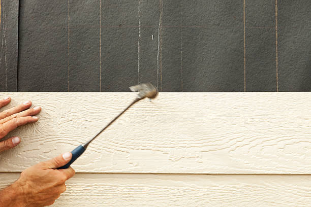 Best Vinyl Siding Installation  in Waverly, TN